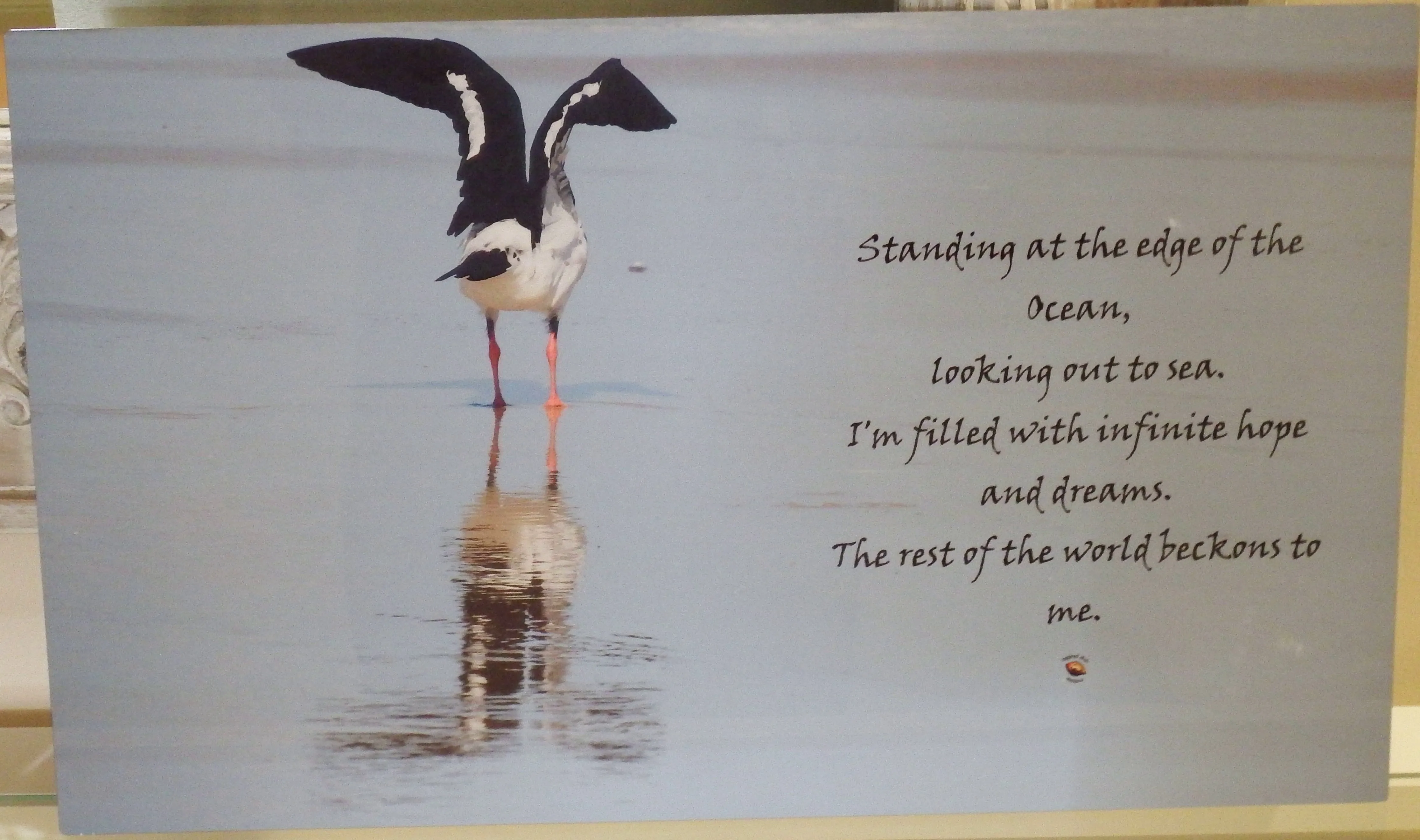 Beach Wall Art Sea Bird Flight Edge of Ocean