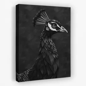 Dark Peacock