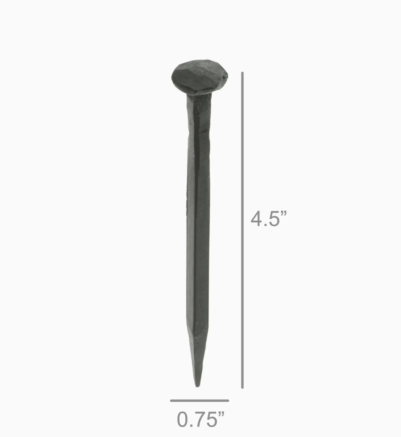 Large Forged Iron Nail
